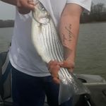 Profile Picture of Tyler Waldo (@mav_for_life_99) on Instagram