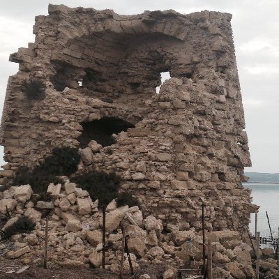 Profile Picture of Peter Raines (@raines_peter) on Twitter