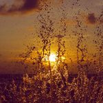 Profile Picture of 𝔸𝕦𝕕𝕣𝕖𝕪 𝕎𝕠𝕞𝕒𝕔𝕜 • ℙ𝕙𝕠𝕥𝕠𝕘𝕣𝕒𝕡𝕙𝕖𝕣 (@audreywomackphotography) on Instagram