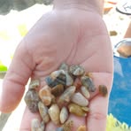 Profile Picture of Ana Girgis (@Ana-Girgis) on Facebook