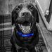 Profile Picture of Adam Ridley (@adam.b.ridley.3) on Facebook
