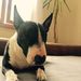 Profile Picture of Udo Tomaszewski (@udostep83) on Pinterest