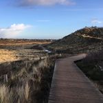 Profile Picture of Lisa_benet (@lisa_benet) on Instagram