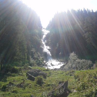 Profile Picture of Peter Falkner (@colambu) on Twitter