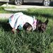 Profile Picture of Renee Botello (@botellolrenee) on Pinterest
