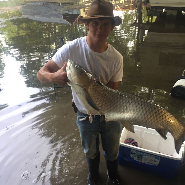 Profile Picture of Bradley L Poole (@user130450549) on Tiktok