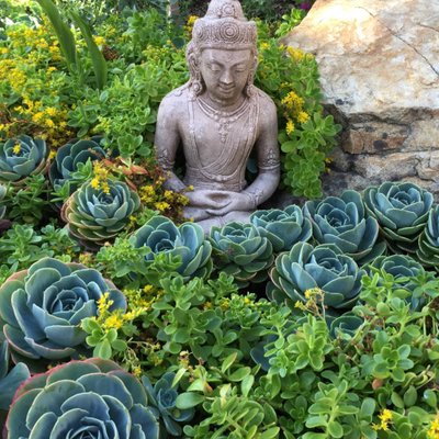 Profile Picture of Debra Taylor McGee (@docdebra) on Twitter