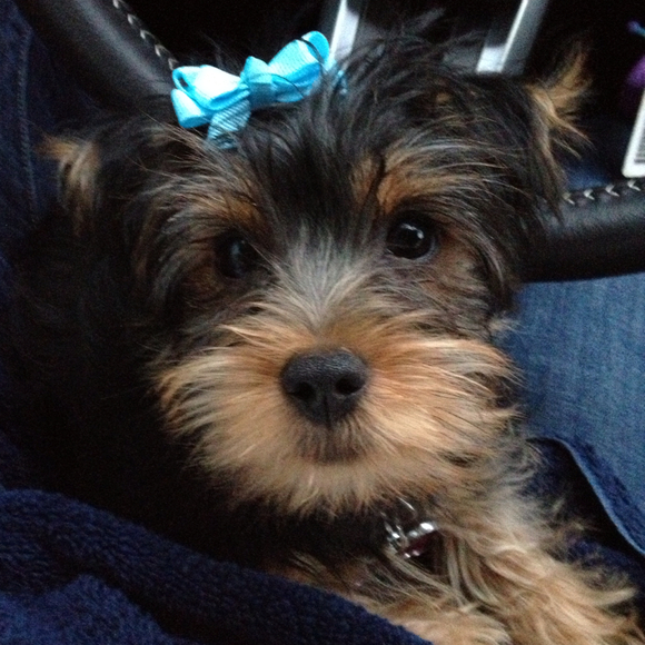 Profile Picture of Jordan Lloyd (@jordaann89) on Poshmark