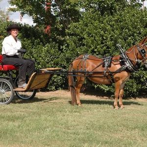 Profile Picture of Hope Lucas (@319609990) on Myspace