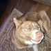 Profile Picture of James Manges (@james.manges.79) on Facebook