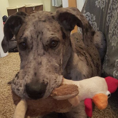 Profile Picture of Thomas Willson (@misterwillson) on Twitter