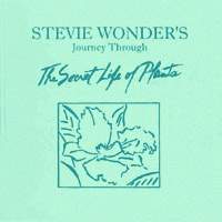 Profile Picture of Stevie Wonder's Journey Through 