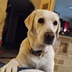 Profile Picture of Agnes Barwik (@frederic.martinez66) on Instagram