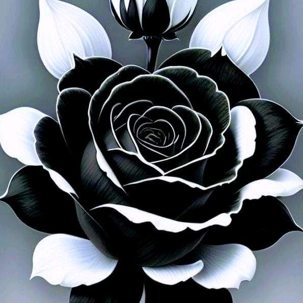 Profile Picture of bianca solares (@lanegra4444) on Tiktok
