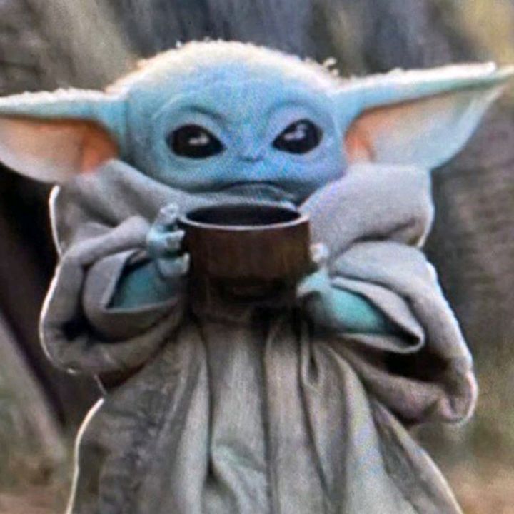 mrcatlover:) - Tiktok Profile Picture of mrcatlover:) (@mrbritshdude) on Tiktok