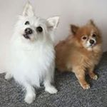 Mary Stewart - Instagram Profile Picture of Mary Stewart (@mary.z.stewart) on Instagram