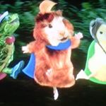 Chris Chafin - Instagram Profile Picture of Chris Chafin (@chriscrosspro) on Instagram