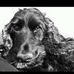 Profile Picture of Stuart Potts (@stuart.potts.399) on Facebook