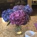 Profile Picture of Brandy Key (@brandy2831) on Pinterest