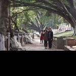 Profile Picture of leta_allen (@leta_allen) on Instagram