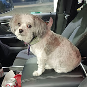 Profile Picture of David McLean (@davidmclean517) on Youtube