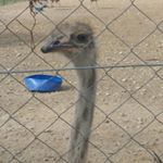 Profile Picture of Jaramillo (@john.jaraba.946) on Instagram