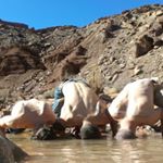 Profile Picture of Gavin Galloway (@gavingalloway) on Instagram