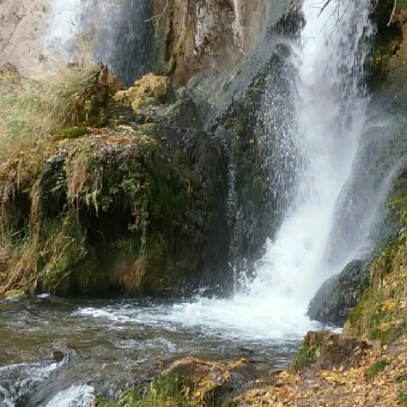 Profile Picture of Heidi Ziegler (@heedeez) on Poshmark