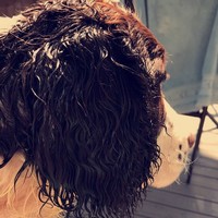 Profile Picture of Rachael Gibbs (@rachael-gibbs-6) on Quora