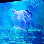 Profile Picture of Daniel Prager (@dornox_) on Instagram