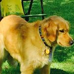 Profile Picture of Micah Clayton (@micahd.clayton) on Instagram