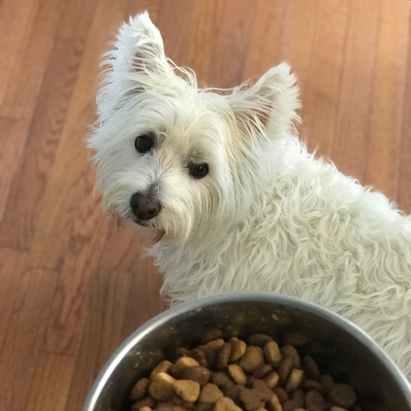 Profile Picture of Jackson Thomas (@thejackface6) on Poshmark