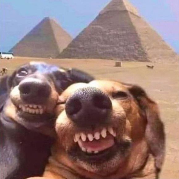 Profile Picture of Amanda Schrobilt (@schrobilt) on Poshmark