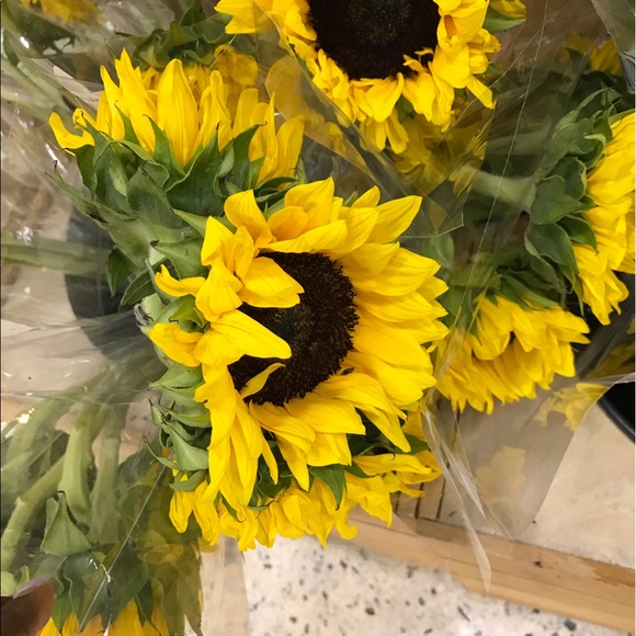 Profile Picture of Nitcharde Lespinasse (@nitcharde) on Poshmark