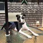 Profile Picture of Dawna Newman (@dawnalee12018) on Instagram