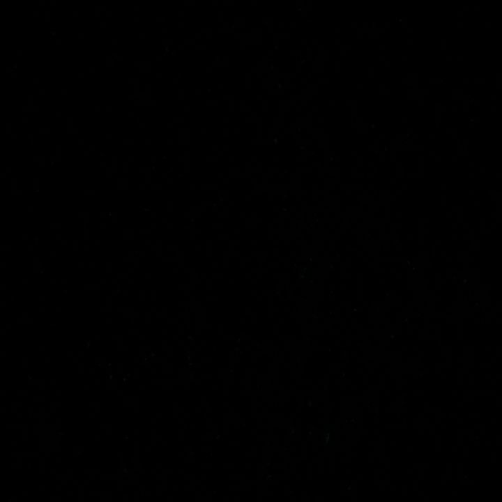 Profile Picture of Thomas Donohoe (@thomas_donohoe) on Tiktok