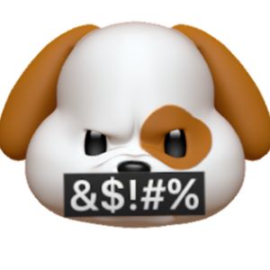 Profile Picture of Benjamin Sisley (@bsisley420) on Tiktok