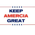Profile Picture of Donald Trump 2020 Campagin (@presidenttrumpstweets) on Instagram