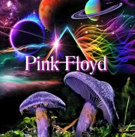 Profile Picture of Heather Panciera (@heatherpanciera) on Poshmark