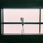 Profile Picture of Kate Jung (@deliviolet) on Instagram