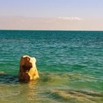 Alex Kuhlmann Amor - Instagram Profile Picture of Alex Kuhlmann Amor (@a.kuhlmannamor) on Instagram