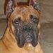 Profile Picture of Jen Dorgan Foreman (@jennabeck1016) on Pinterest