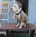 Profile Picture of Bryan Dowdy (@bryan.dowdy.10) on Facebook