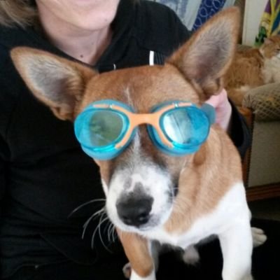 Profile Picture of Larry Covert (@yanik1974) on Twitter