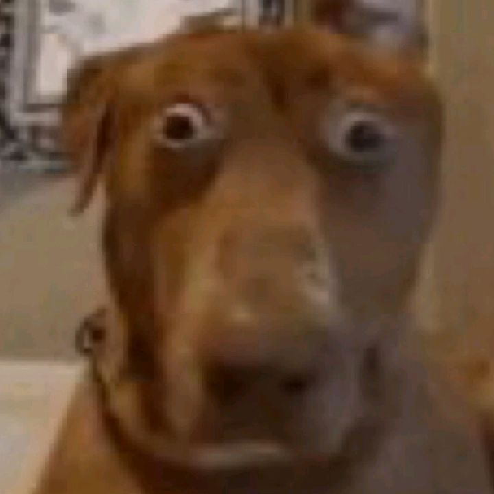 Profile Picture of Kyle Wilkins (@@kylewilkins24) on Tiktok