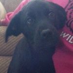 Profile Picture of John Hildinger (@johnhildinger) on Instagram