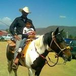 José Alfredo Manzanares García - Instagram Profile Picture of José Alfredo Manzanares García (@josealfredomanzanaresgarcia) on Instagram