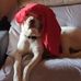 Profile Picture of Allan Cotter (@allan.cotter.58) on Facebook