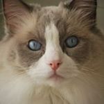 Profile Picture of Jeff Truax (@jefftruax) on Instagram