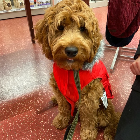 Profile Picture of Brett Lamott (@jake1190) on Poshmark